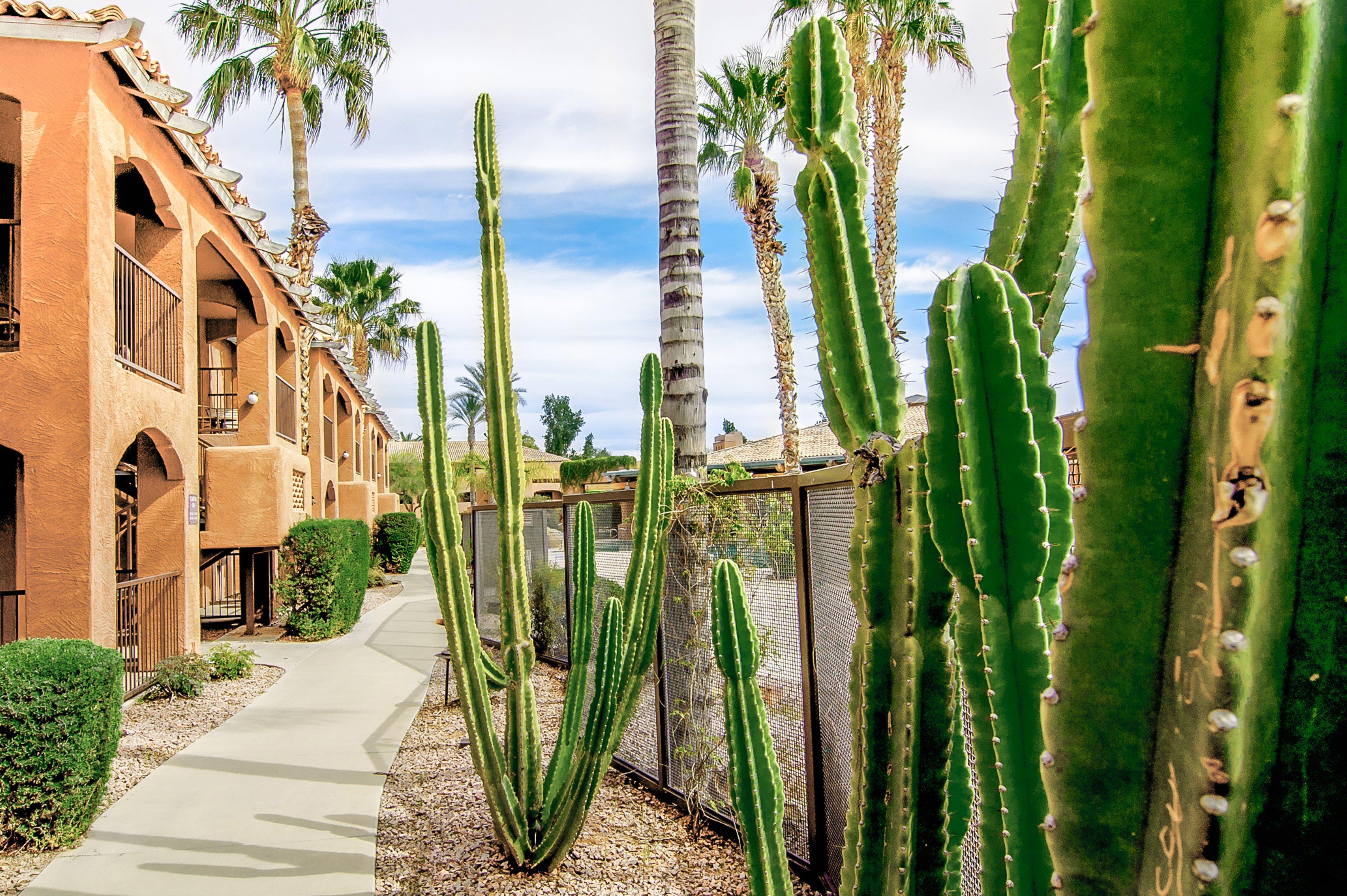 Holiday Inn Club Vacations Scottsdale Resort Dış mekan fotoğraf